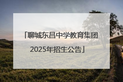 聊城东昌中学教育集团2025年招生公告