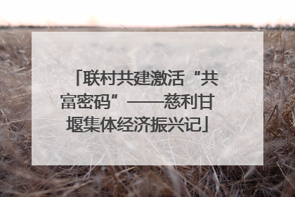 联村共建激活“共富密码”——慈利甘堰集体经济振兴记