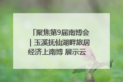 聚焦第9届南博会｜玉溪抚仙湖畔旅居经济上南博 展示云南生活新样本