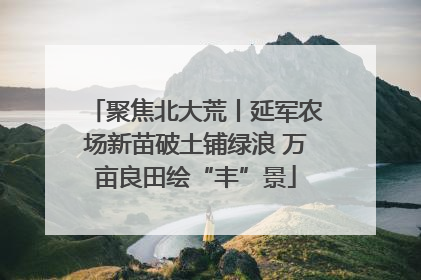 聚焦北大荒丨延军农场新苗破土铺绿浪 万亩良田绘“丰”景