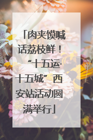 肉夹馍喊话荔枝鲜！“十五运·十五城”西安站活动圆满举行