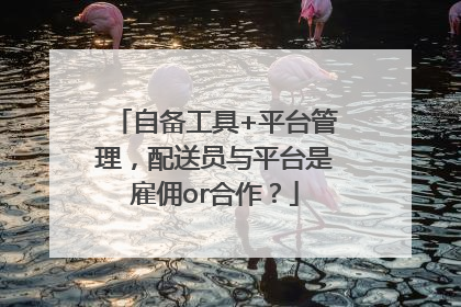 自备工具+平台管理，配送员与平台是雇佣or合作？
