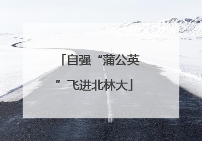 自强“蒲公英”飞进北林大