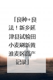 良种+良法！新乡延津县试验田小麦刷新黄淮麦区高产记录