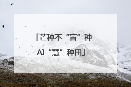 芒种不“盲”种 AI“慧”种田