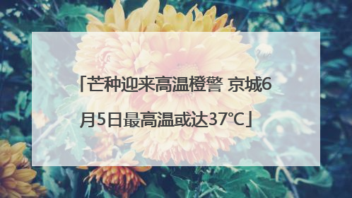 芒种迎来高温橙警 京城6月5日最高温或达37℃