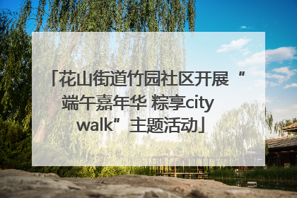 花山街道竹园社区开展“端午嘉年华 粽享city walk”主题活动