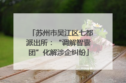苏州市吴江区七都派出所：“调解智囊团”化解涉企纠纷