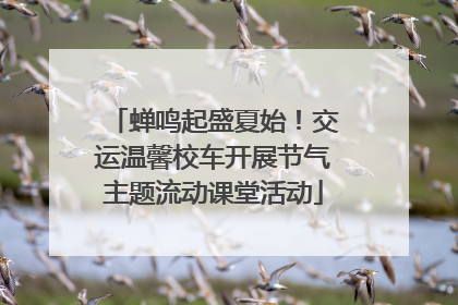 蝉鸣起盛夏始！交运温馨校车开展节气主题流动课堂活动