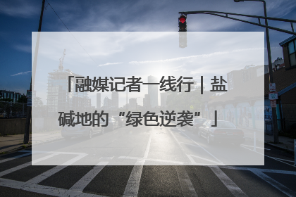 融媒记者一线行｜盐碱地的“绿色逆袭”