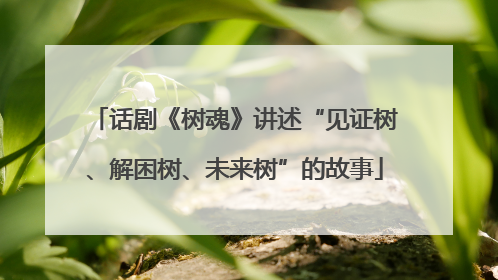 话剧《树魂》讲述“见证树、解困树、未来树”的故事