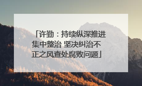 许勤：持续纵深推进集中整治 坚决纠治不正之风查处腐败问题