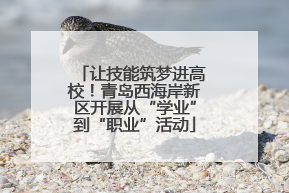让技能筑梦进高校！青岛西海岸新区开展从“学业”到“职业”活动
