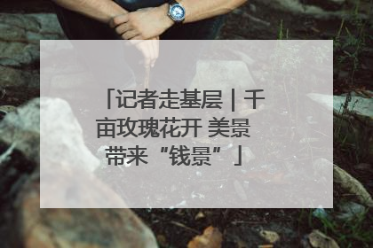 记者走基层｜千亩玫瑰花开 美景带来“钱景”