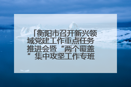 衡阳市召开新兴领域党建工作重点任务推进会暨“两个覆盖”集中攻坚工作专班 第一次会议