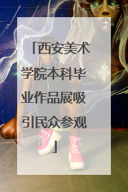 西安美术学院本科毕业作品展吸引民众参观