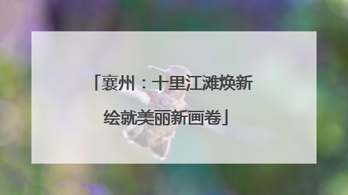 襄州：十里江滩焕新 绘就美丽新画卷