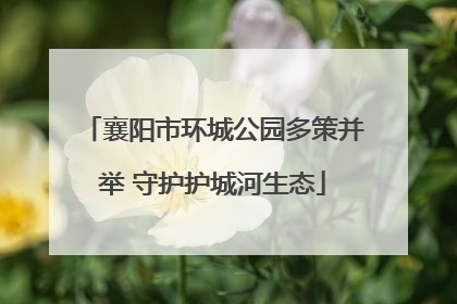襄阳市环城公园多策并举 守护护城河生态