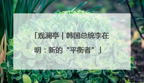 观澜亭｜韩国总统李在明：新的“平衡者”
