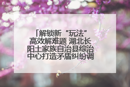 解锁新“玩法” 高效解难题 湖北长阳土家族自治县综治中心打造矛盾纠纷调处“终点站”