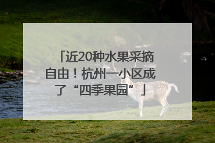 近20种水果采摘自由！杭州一小区成了“四季果园”