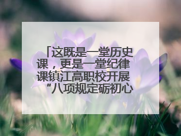 这既是一堂历史课，更是一堂纪律课镇江高职校开展“八项规定砺初心，匠心育人践忠诚”主题党日活动