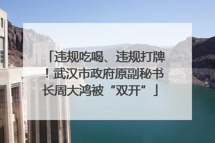 违规吃喝、违规打牌！武汉市政府原副秘书长周大鸿被“双开”