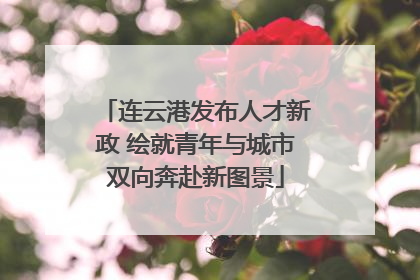 连云港发布人才新政 绘就青年与城市双向奔赴新图景