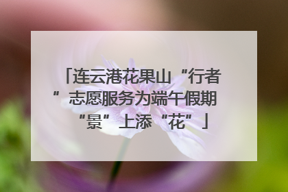 连云港花果山“行者”志愿服务为端午假期“景”上添“花”