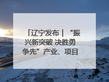 辽宁发布｜“振兴新突破 决胜勇争先”产业、项目、民生齐发力 葫芦岛按下决胜之年“加速键”