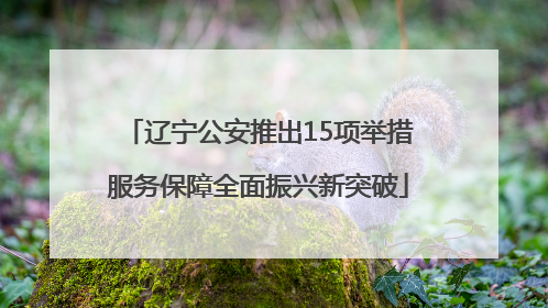 辽宁公安推出15项举措服务保障全面振兴新突破