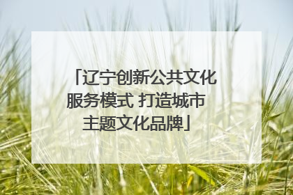 辽宁创新公共文化服务模式 打造城市主题文化品牌