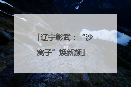 辽宁彰武：“沙窝子”焕新颜