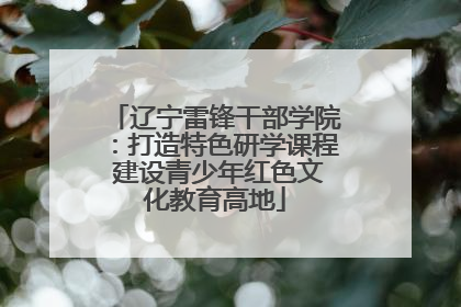 辽宁雷锋干部学院：打造特色研学课程 建设青少年红色文化教育高地