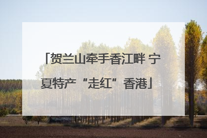 贺兰山牵手香江畔 宁夏特产“走红”香港