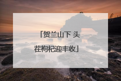 贺兰山下 头茬枸杞迎丰收