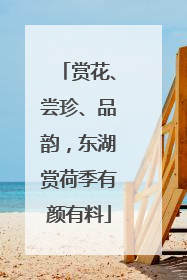 赏花、尝珍、品韵，东湖赏荷季有颜有料