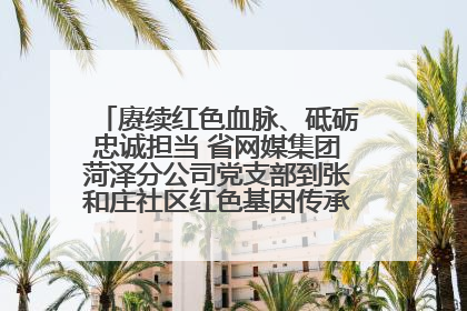 赓续红色血脉、砥砺忠诚担当 省网媒集团菏泽分公司党支部到张和庄社区红色基因传承馆开展主题党日活动