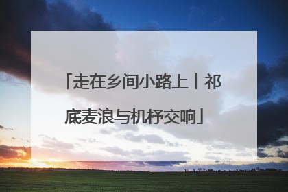 走在乡间小路上丨祁底麦浪与机杼交响