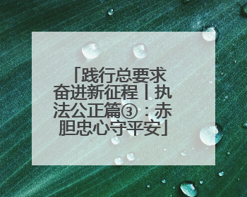 践行总要求 奋进新征程丨执法公正篇③：赤胆忠心守平安