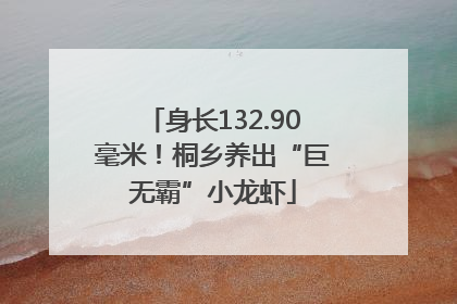 身长132.90毫米！桐乡养出“巨无霸”小龙虾