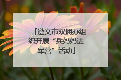 遵义市双拥办组织开展“兵妈妈进军营”活动