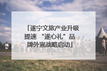 遂宁文旅产业升级提速 “遂心礼”品牌外宣战略启动