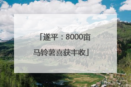 遂平：8000亩马铃薯喜获丰收