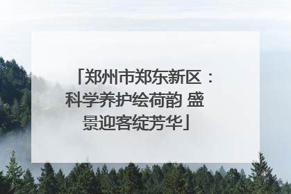 郑州市郑东新区：科学养护绘荷韵 盛景迎客绽芳华