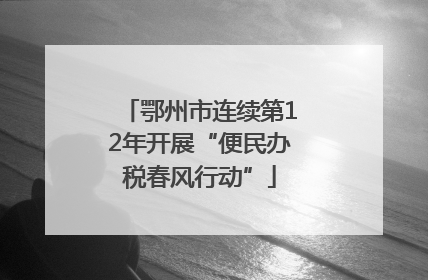 鄂州市连续第12年开展“便民办税春风行动”