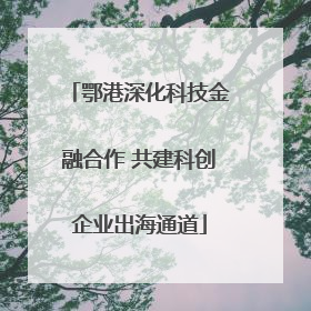 鄂港深化科技金融合作 共建科创企业出海通道