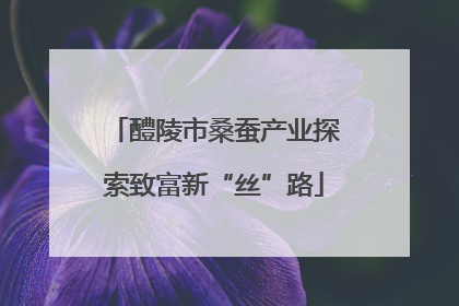 醴陵市桑蚕产业探索致富新“丝”路