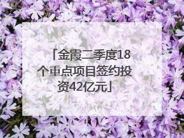 金霞二季度18个重点项目签约投资42亿元