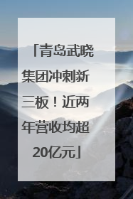 青岛武晓集团冲刺新三板！近两年营收均超20亿元